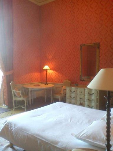 Chateau Du Marechal De Saxe Yerres Værelse billede